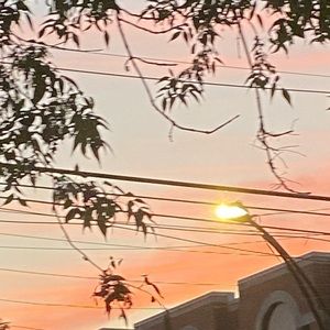 Meet your Posher, Nina